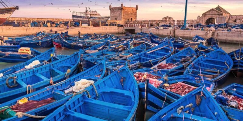 From Marrakech: Small Group To Essaouira & Medina Day Trip - Key Points