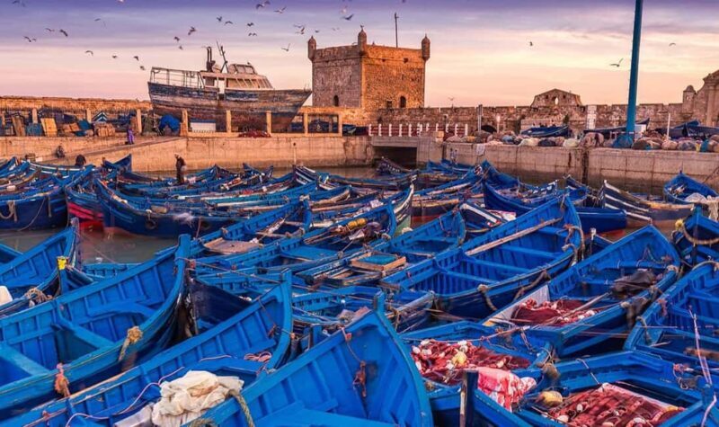 From Marrakech: Small Group to Essaouira & Sekkala Day Trip - An Authentic Day Out: First Impressions and Transportation