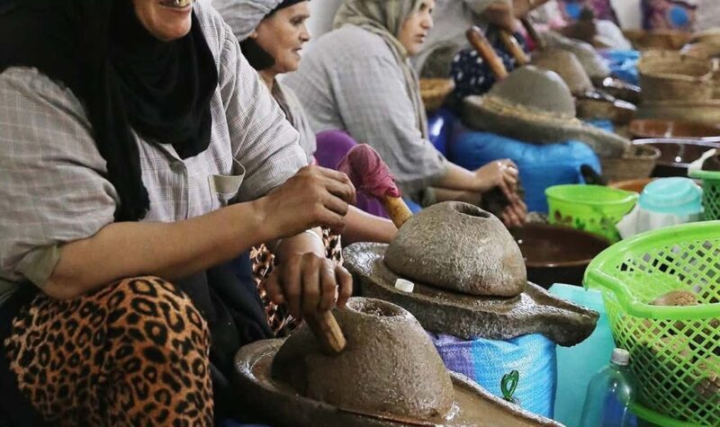 From Marrakech: Small Group to Essaouira & Sekkala Day Trip - Free Time and Beachside Relaxation