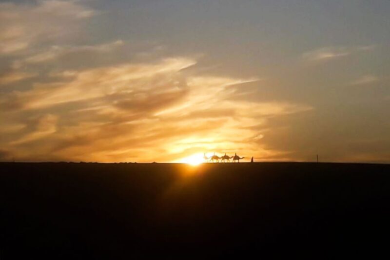 From Marrakech: Sunset Camel Ride in the Agafay Desert - What to Expect from the Sunset Camel Ride Experience