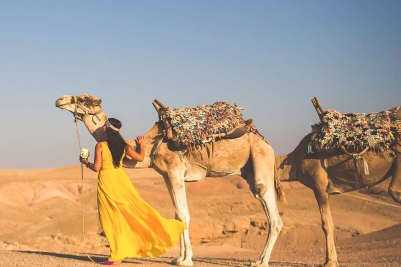 From Marrakech: Sunset Camel Ride in the Agafay Desert - The Sum Up