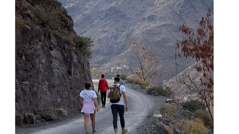 From Marrakech: Taoudja Summit Hike in the Atlas Mountain - Key Points