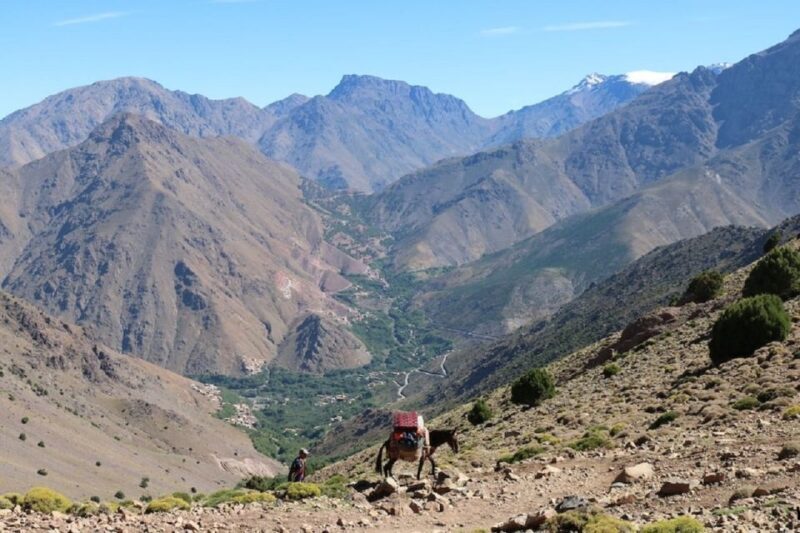 From Marrakech: Taoudja Summit Hike in the Atlas Mountain - Who Will Love This Tour?