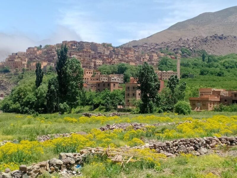 From Marrakech: Taoudja Summit Hike in the Atlas Mountain - FAQ
