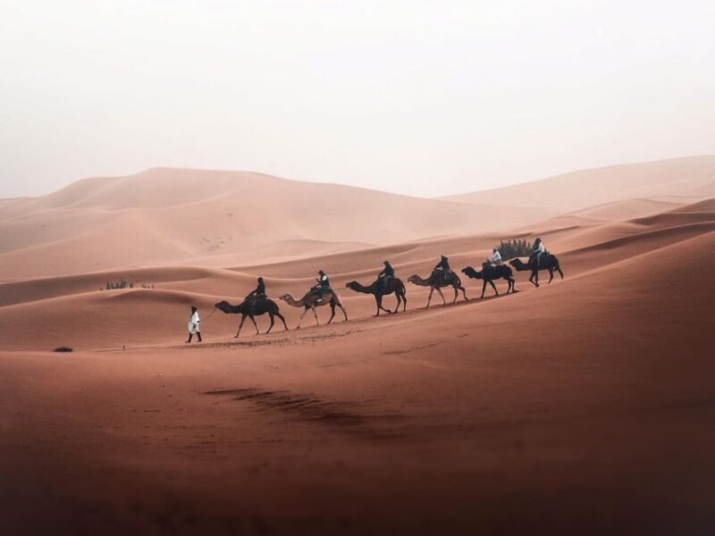 From Marrakech to Chefchaouen via Sahara Desert and Fes - Final Thoughts