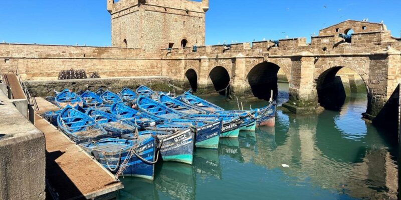 From Marrakech: To Essaouira Explorer Day Adventure - Marine Life and Beachside Relaxation