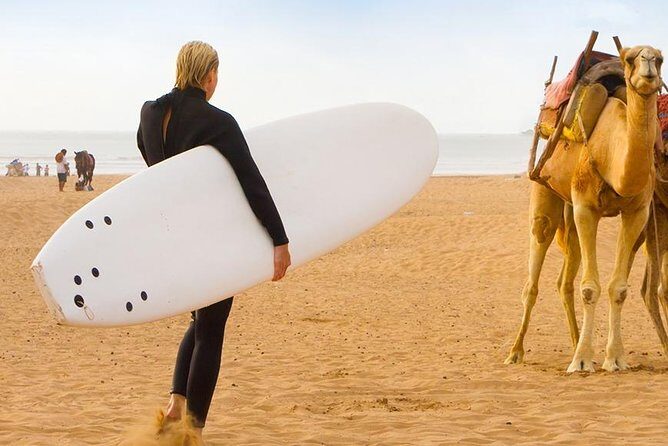 From Marrakech To Essaouira Mogador Full Day Trip | Small-group - Transportation and Group Size