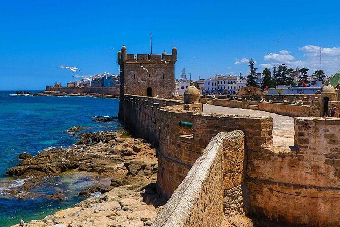 From Marrakech To Essaouira Mogador Full Day Trip | Small-group - Who Should Consider This Tour?