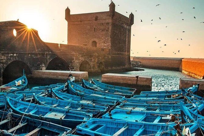 From Marrakech To Essaouira Mogador Full Day Trip | Small-group - Why This Tour Offers Great Value