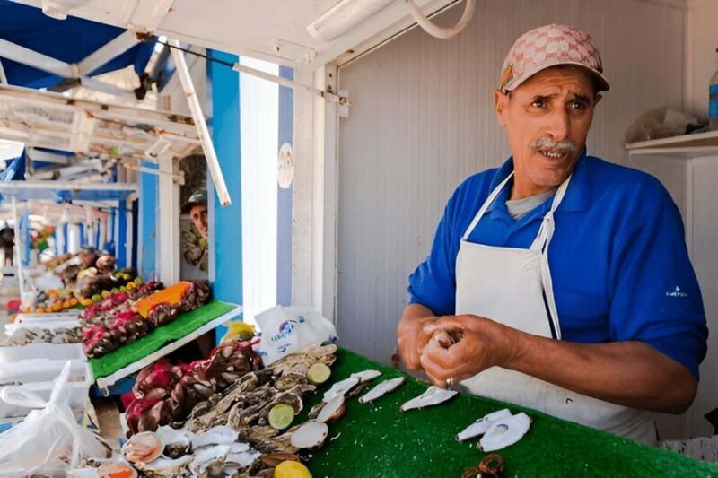 From Marrakech to Oualidia and Safi: A Coastal Day Trip - Key Points