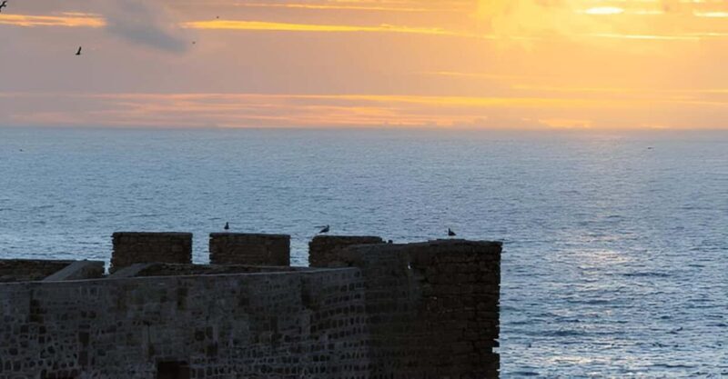 From Marrakech to Oualidia and Safi: A Coastal Day Trip - Who Should Consider This Tour?
