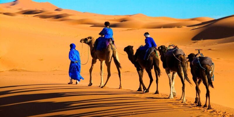 From Marrakech: Tour 3-Day To Fez Via-Desert Merzouga - Who Should Consider This Tour?