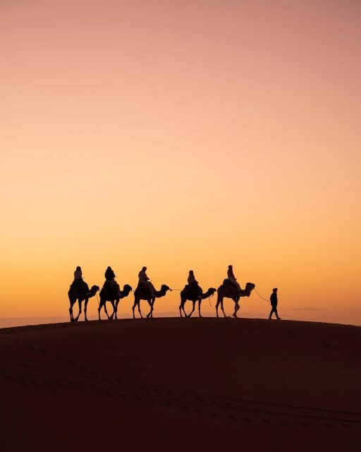 From Marrakech: Unforgettable 3-Day Desert Tour to Fes - Key Points  
