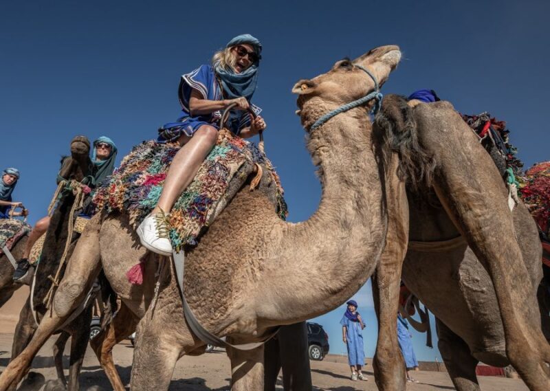 From Marrakech: VIP Agafay Desert & Oasis Camel Experience - Introduction: What to Expect from the VIP Agafay Desert & Oasis Camel Experience