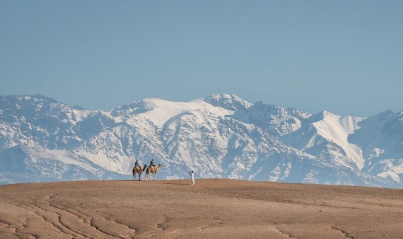 From Marrakech: VIP Agafay Desert & Oasis Camel Experience - Why This Tour Is a Great Fit