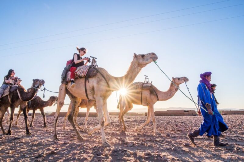 From Marrakech: Zagora 2-Day Desert Safari with Food & Camp - The Drive Through Ouarzazate and Draa Valley