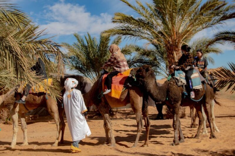 From Marrakech:4 Days 3 Nights Desert Tour back to Marrakech - Key Points