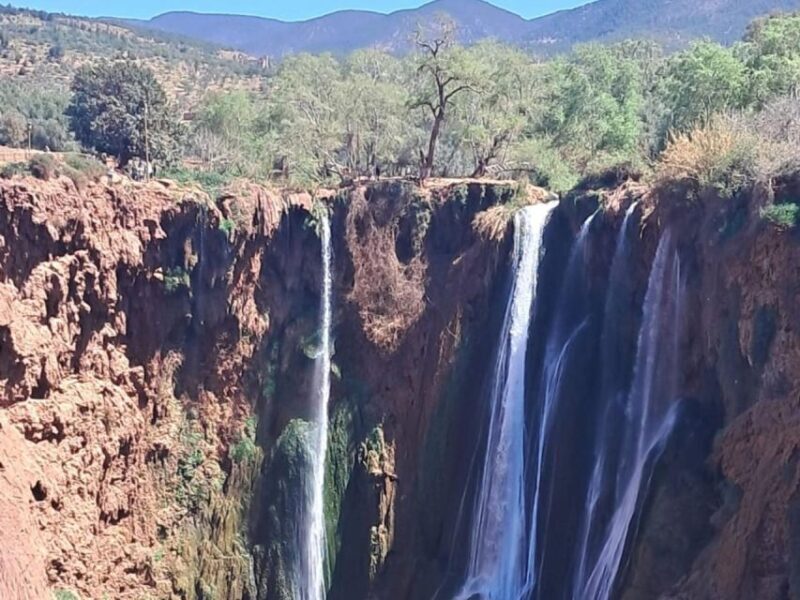 From Marrakech:Ouzoud Waterfalls Day Trip with Boat Tour - Frequently Asked Questions (FAQs)