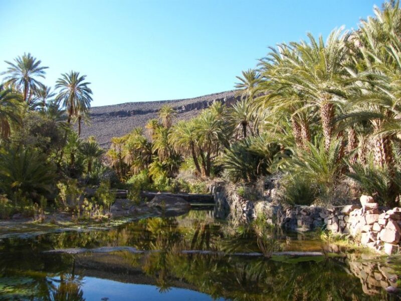 From Marrakesh: 2-Day Trek to Ait-Benhaddou and Ouarzazate - Final Thoughts
