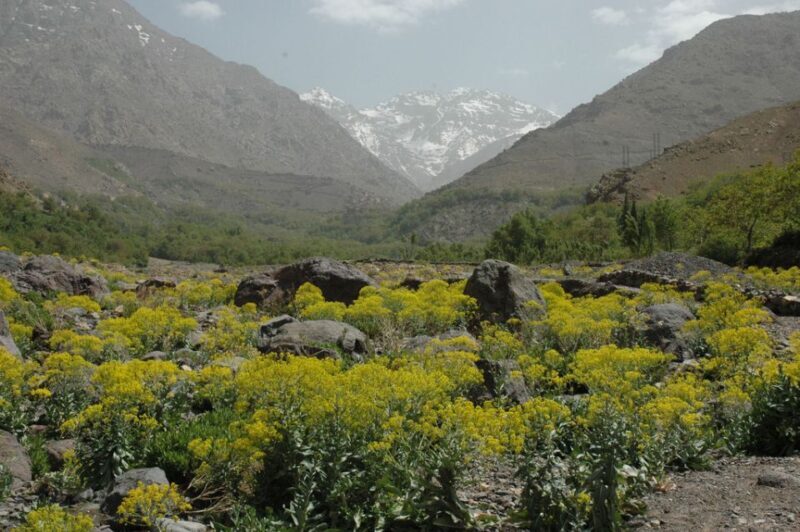 From Marrakesh: 3-Day Trip to Berber Villages - How the Itinerary Unfolds
