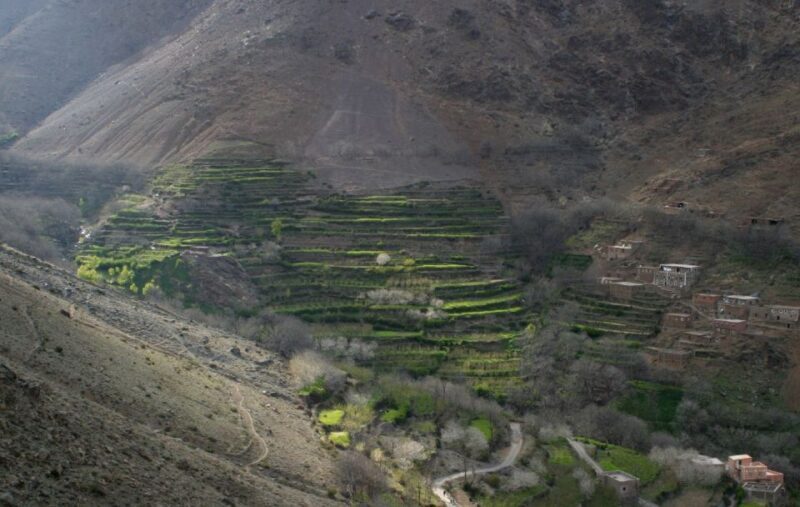 From Marrakesh: 3-Day Trip to Berber Villages - Who Should Consider This Trek?