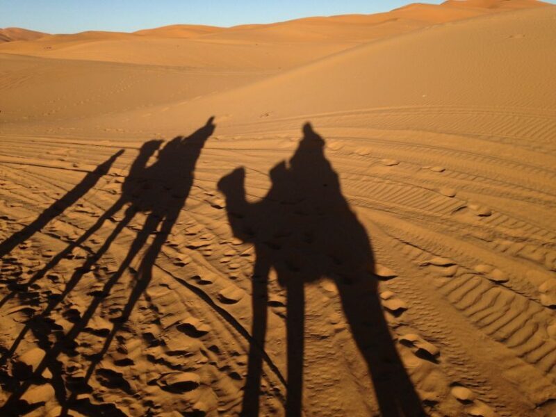 From Marrakesh: 3-Days Erg Chegaga Désert Tours - What We Love About This Tour