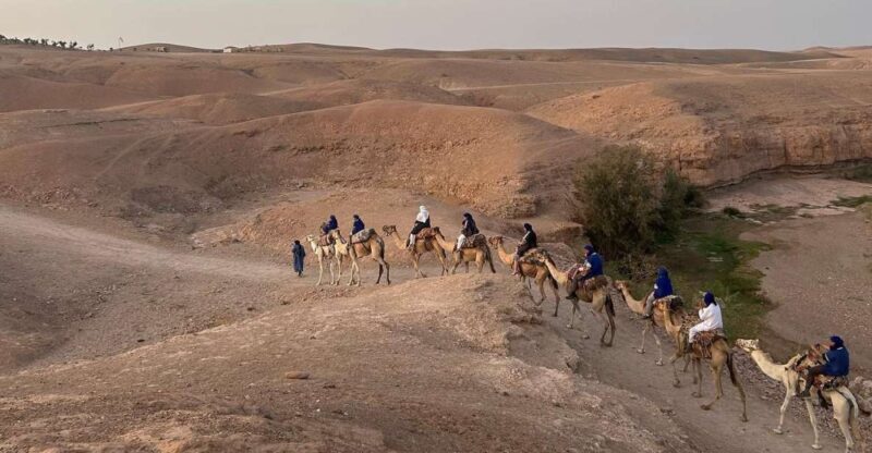 From Marrakesh: Agafay Desert Sunset, Camel Ride, and Dinne - The Sum Up