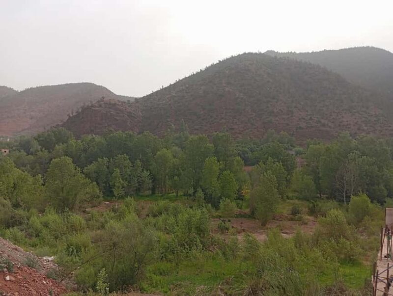 From Marrakesh: Day Tour to Ourika Valley & Atlas Mountains - Key Points