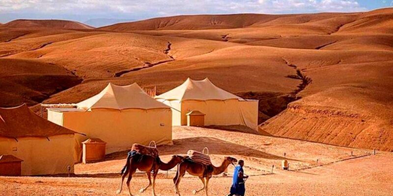 From Marrakesh: Dinner Agafay Desert Sunset, Stars And Show - Exploring the Details: What to Expect