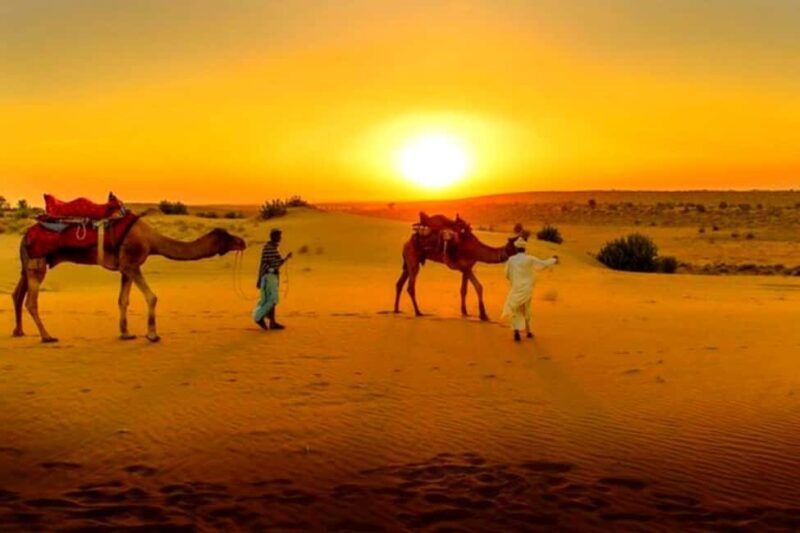 From Marrakesh: Dinner Agafay Desert Sunset, Stars And Show - Who Would Love This Tour?
