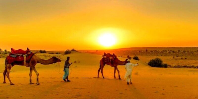 From Marrakesh: Dinner Agafay Desert Sunset, Stars And Show - Final Thoughts