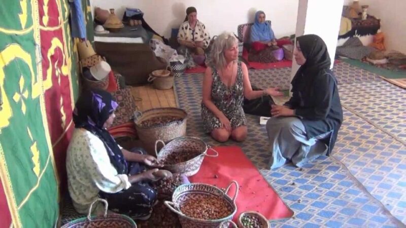 From Marrakesh: Essaouira Day Trip - Real Traveler Insights: Authentic Feedback