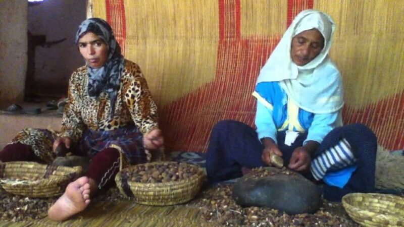 From Marrakesh: Essaouira Day Trip - FAQ