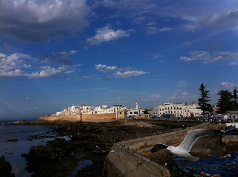 From Marrakesh: Essaouira Full-Day Excursion - The Pros and Cons
