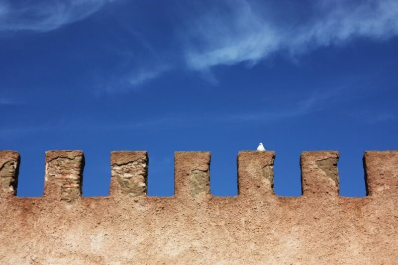 From Marrakesh: Essaouira Full-Day Trip - Learning About Moroccan Craftsmanship: Argan Oil Cooperative