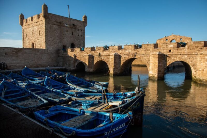 From Marrakesh: Essaouira Full-Day Trip - Return to Marrakesh