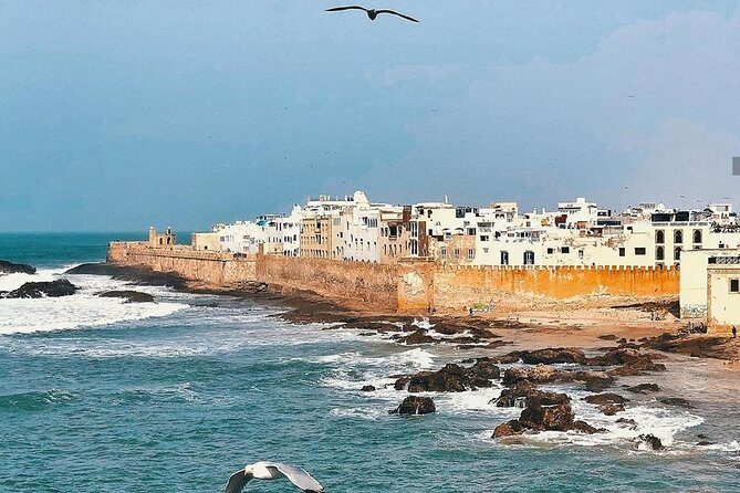 From Marrakesh: Essaouira Full-Day Trip - The Value of This Tour