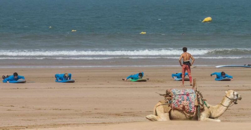 From Marrakesh: Essaouira Surfing Day Trip - Key Points