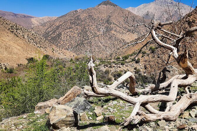 From Marrakesh: Ourika Valley and Atlas Mountains Private Tour - The Itinerary: What to Expect on the Day