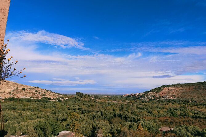 From Marrakesh: Ourika Valley and Atlas Mountains Private Tour - Considerations and Practical Tips