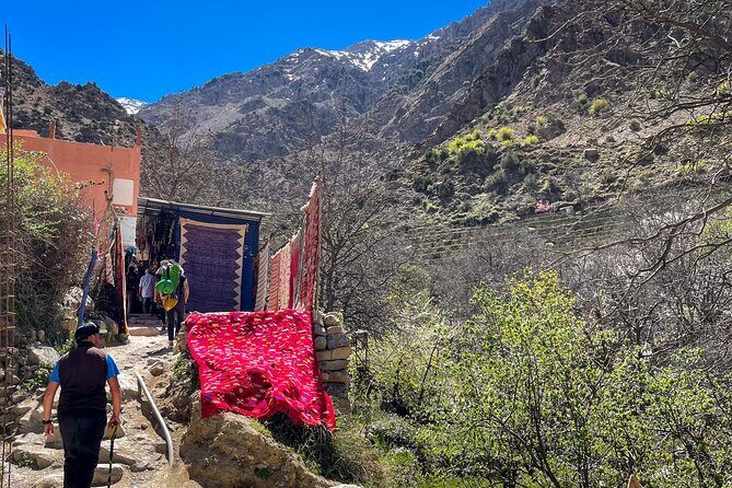 From Marrakesh: Ourika Valley and Atlas Mountains Private Tour - Who Should Consider This Tour?