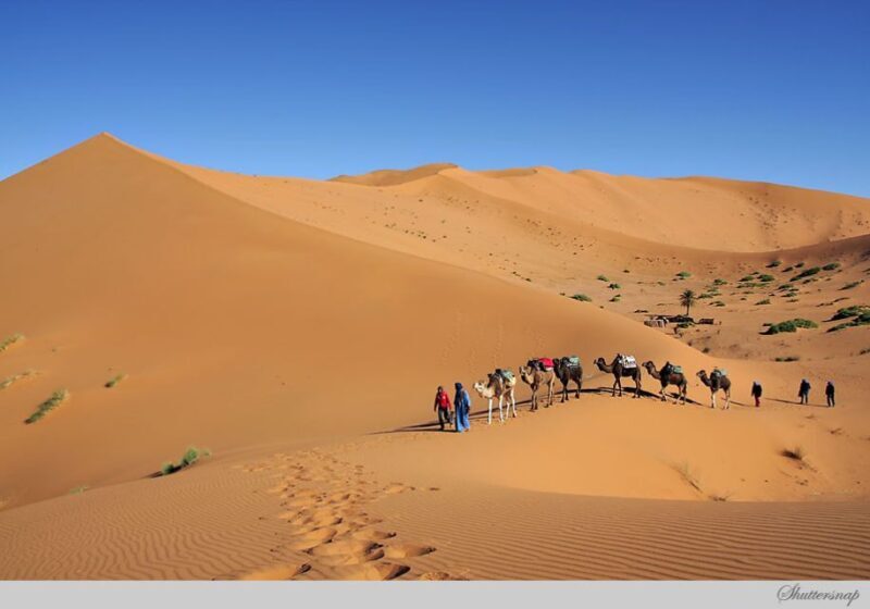 From Marrakesh: Private 4-Day Sahara Desert Discovery Tour - FAQ