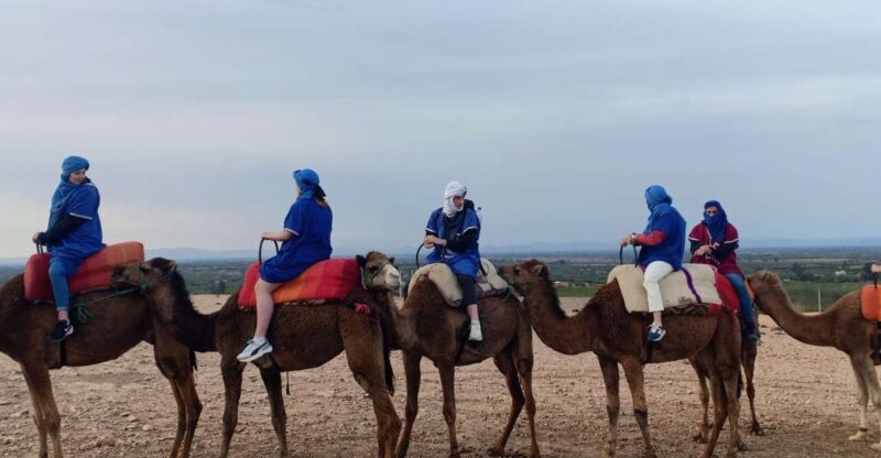 From Marrakesh: Sunset Camel Ride in the Agafay Desert - Introduction: A Scenic Moroccan Escape
