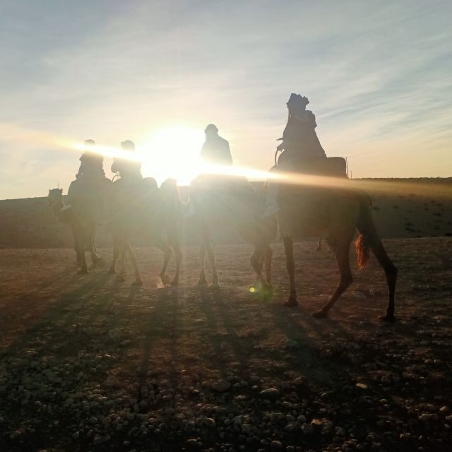 From Marrakesh: Sunset Camel Ride in the Agafay Desert - Authentic Experiences and Authenticity