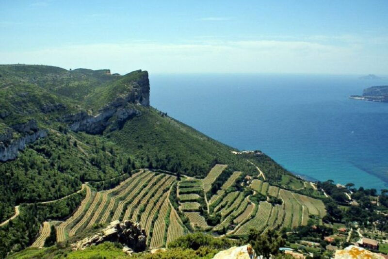 from-marseille-bandol-cassis-wine-tour-with-viewpoint