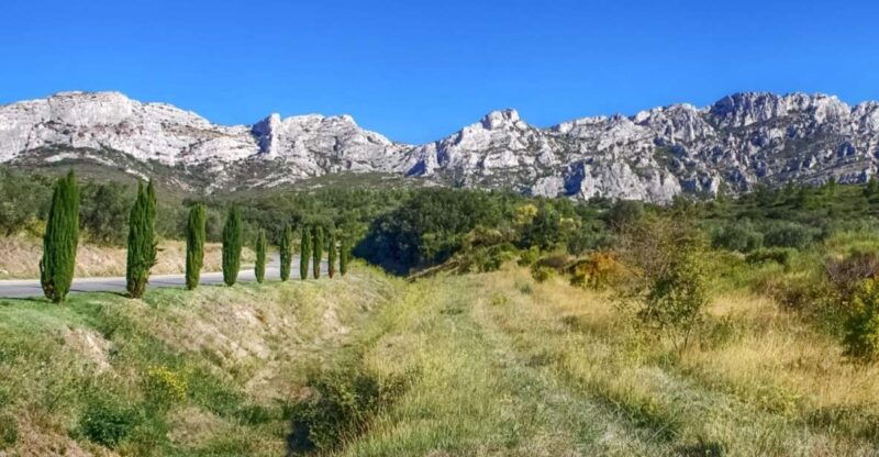 from-marseille-full-day-les-baux-de-provence-wine-tour