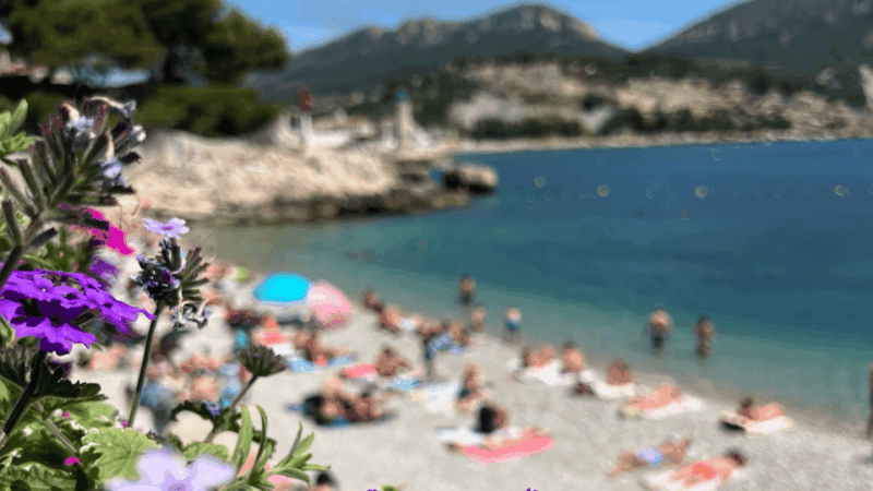 from-marseille-to-cassis-a-journey-to-the-heart-of-the-calanques-and-traditions
