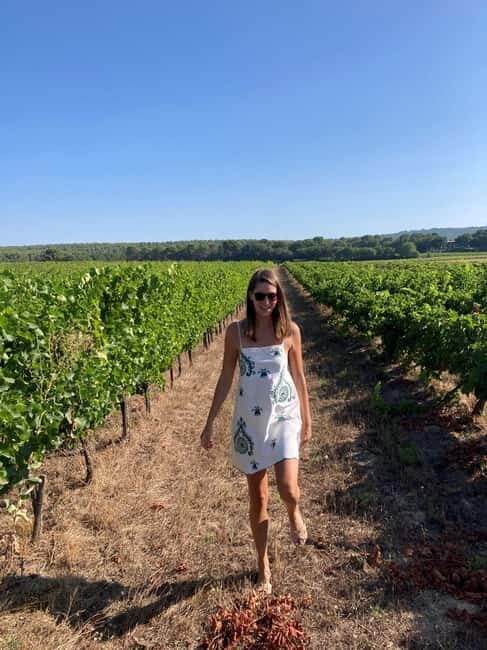 From Marseille: Wine and Scenery around Aix-en-Provence - Key Points  