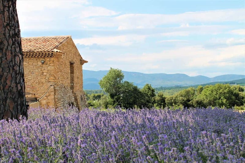 From Marseille: Wine and Scenery around Aix-en-Provence - An In-Depth Look at the Itinerary and Experience  
