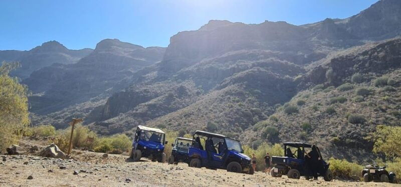 from-maspalomas-volcanic-landscapes-4-seater-buggy-tour